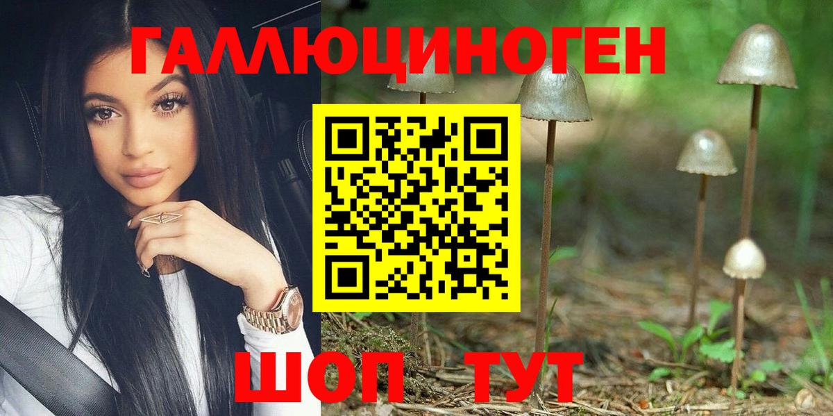 Санкт-Петербург  Галлюциногенные грибы Psilocybine cubensis  Вход с VPN 