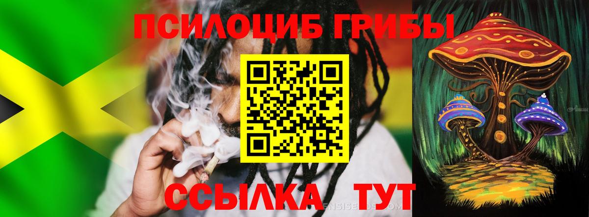 Псилоцибиновые грибы GOLDEN TEACHER Санкт-Петербург